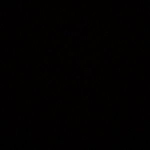 Meet your Posher, Azlynn